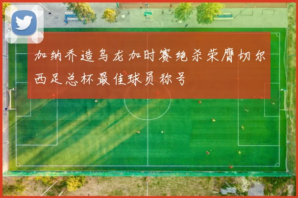 加纳乔造乌龙加时赛绝杀荣膺切尔西足总杯最佳球员称号